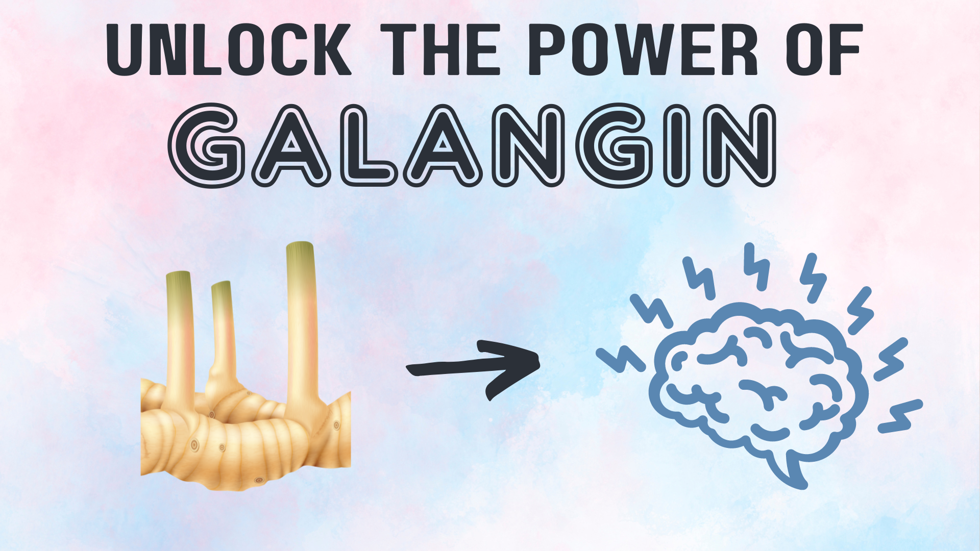 unlock the power of galangin